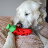 Steel Dog - Slow Treater Chili Pepper